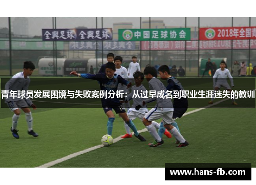 青年球员发展困境与失败案例分析：从过早成名到职业生涯迷失的教训