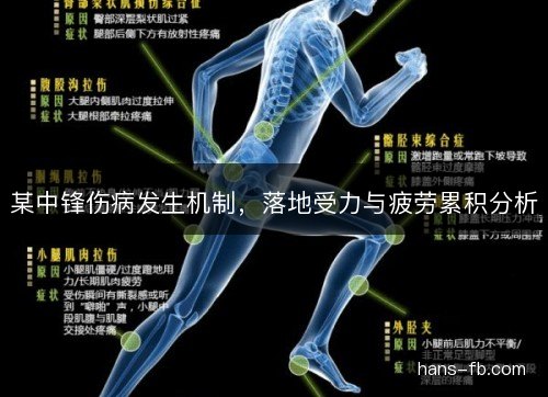 某中锋伤病发生机制，落地受力与疲劳累积分析